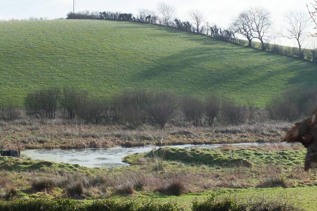 Barnwell Farm Cottages Corn Cottage Greyabbey ห้อง รูปภาพ
