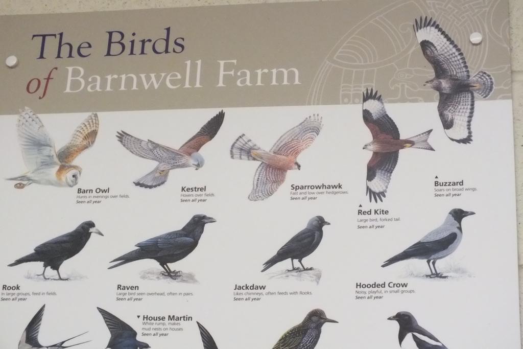 Barnwell Farm Cottages Corn Cottage Greyabbey ห้อง รูปภาพ